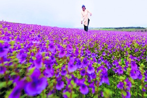 Govt to push for world heritage status for Western Ghats