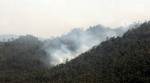 Uttarakhand forest fire: IAF deploys Mi-17 chopper to control blaze, PMO assures help Uttarakhand forest fire: IAF deploys Mi-17 chopper to control blaze, PMO assures help