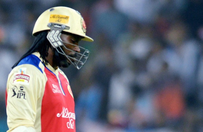 M_Id_374495_Chris_Gayle