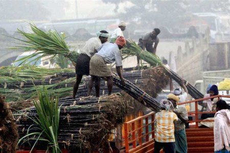 UP sugar mills run ‘ponzi scheme’ to pay farmers’ dues
