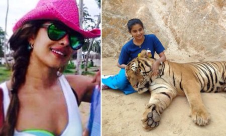 Priyanka Chopra returns to India,Hansika,Priyamani to spend New Year’s Eve abroad