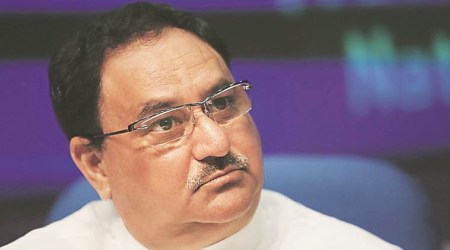 Ayurveda, homoeopathy docs can take bridge course to practise allopathy: Bill