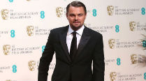 ‘Wolf of Wall Street’ is like organised chaos: DiCaprio