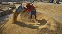 Food security Act also covers foreign nationals, refugees, says Law Ministry