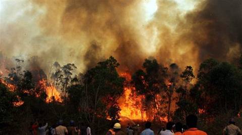Fire personnel dousing the blazing fire at Tirumala forest in Tirupati on the second day on Wednesday. (PTI photo)