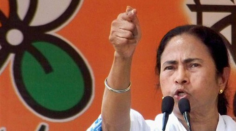 Mamata Banerjee said that the Congress, BJP, CPI-M were on the same branch of the tree. (PTI)