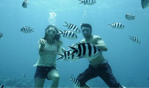 underwater480.jpg?w=480&h=284