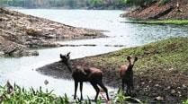 SGNP plans watershed management to ‘stabilise’ drinking water supply
