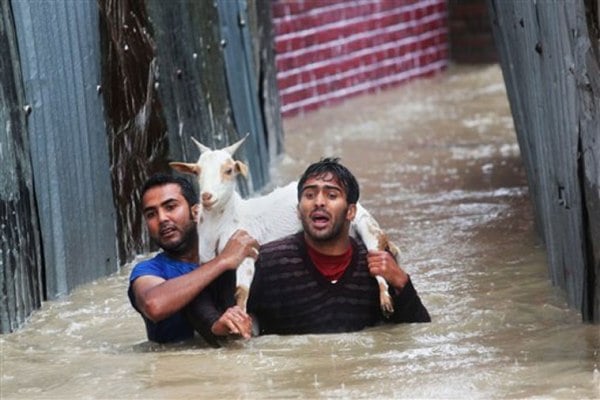 Srinagar residents carrying a goat wade through floodwaters in Srinagar on Thursday. (AP Photo)
