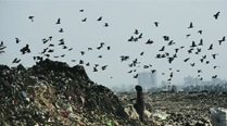 A cleaner city only adds to Ghazipur’s woes