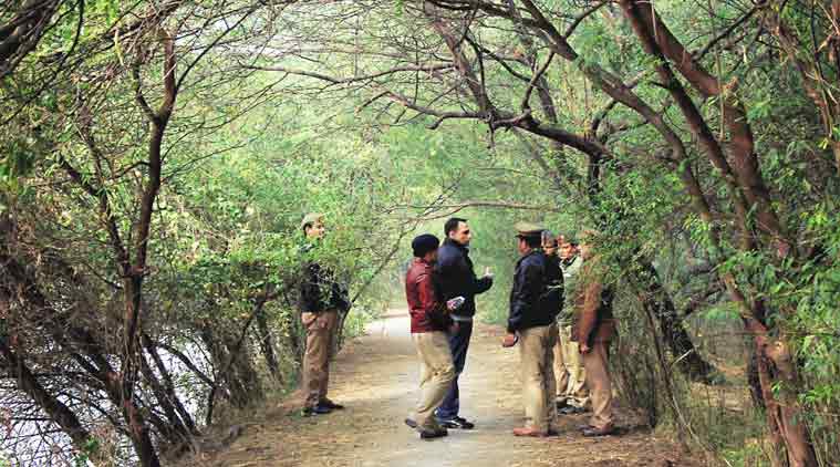 Gir forest, dyeing unit, dyeing unit Gir forest, GPCB, ahmedabad news, city news, local news, Gujarat news, Indian Express