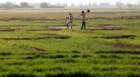 India Inc tepid to changes in Land Act