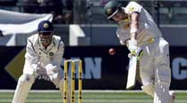 Steve-Smith_tIndia-vs-Austr