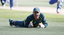 haddin-fi