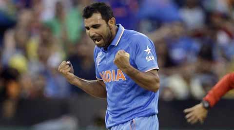 shami-ap_t