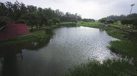 Skyscraper thesis topics picture