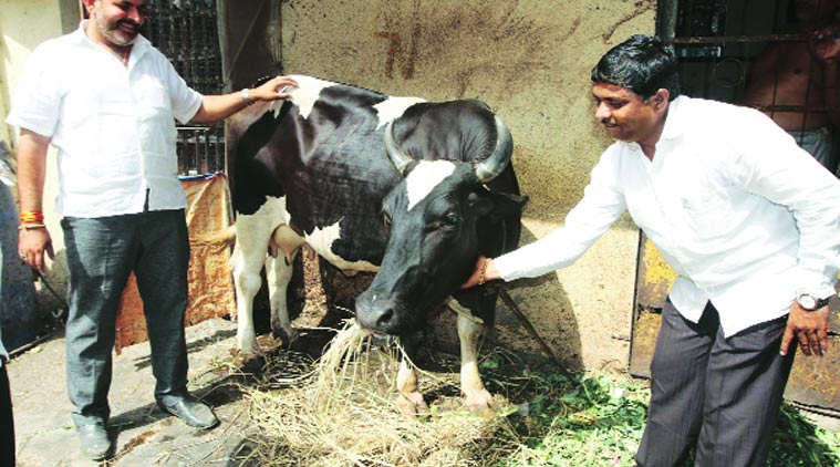 maharashtra beef ban, beef ban, VHP