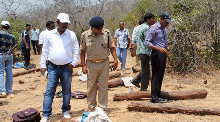 Chittoor, andhra pradesh, andhra pradesh killings, sandalwood labourers killed, andhra killing, sanders, red sanders, Andhra Pradesh killing, Telangana killing, SIMI, labourers killed