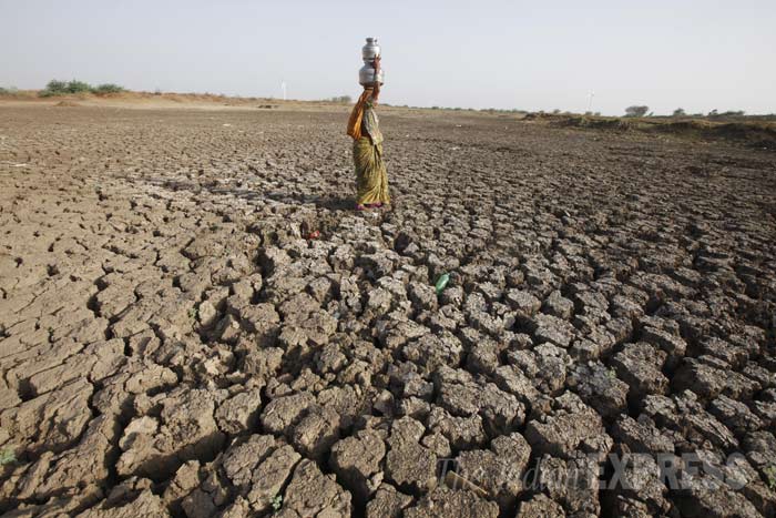 el-nino-dries-up-the-monsoon-could-have-impact-next-year-too-the