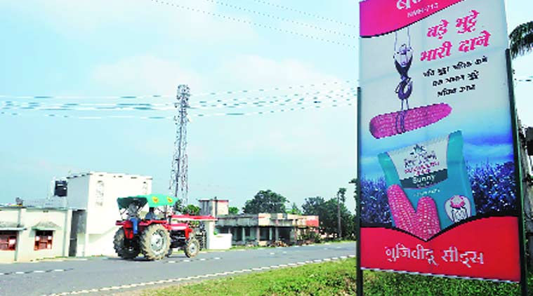 Hoardings of seed companies are a common sight in Bihar's corn belt. (Express Photo by: Prashant Ravi)