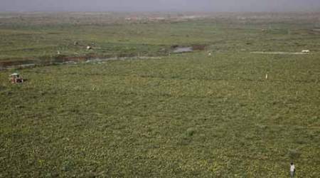 Day after Valtoha’s ‘encroachment’ barb, survey of road along border ordered