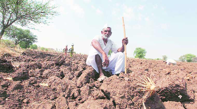 Image result for farmers suicide India