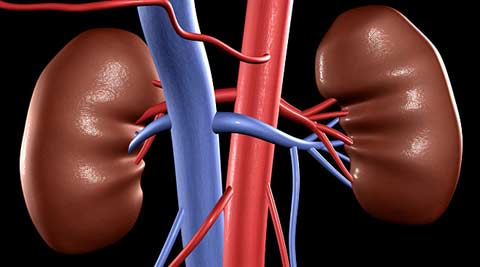 From the lab: The unknown world of rare genetic disorders