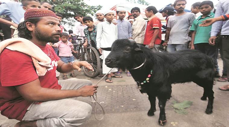 Sacrificing Goats On Bakrid Bad Like Triple Talaq Rss Muslim Wing The Indian Express 