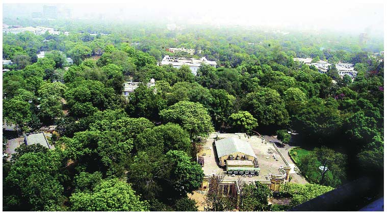 lutyens delhi, delhi bungalow, indian express