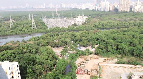 Ban on construction in wetlands: Govt withdraws plea seeking modification in earlier court order