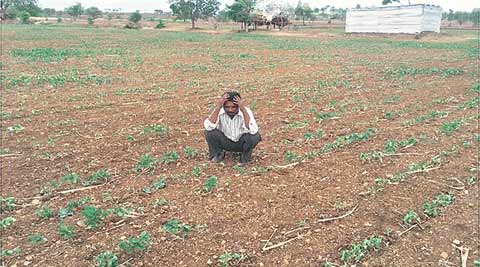 farming, farming sector, maharashtra gvot, fadnavis govt, agriculture sector, maharashtra farmers, mumbai news