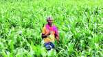 Gujarat govt announces GST waiver for farmers engaged in micro-irrigation