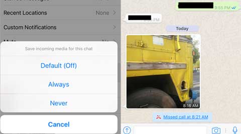WhatsApp iOS app gets new features; now save media for specific chats