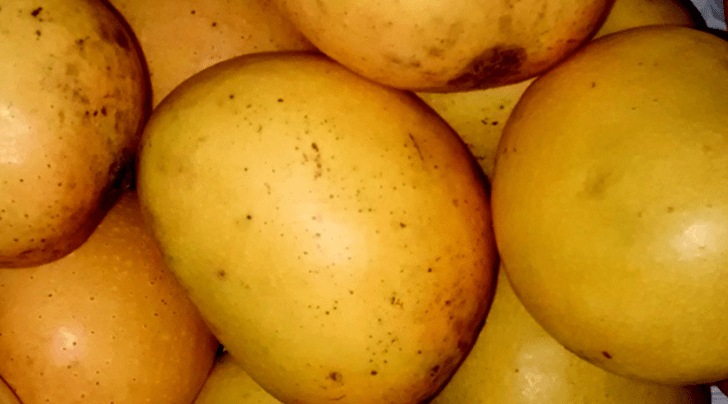Five lesser known mangoes you should try this Summer