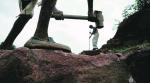 Crop residue: Haryana to seek Centre’s nod to engage MGNREGA labourers