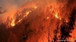 Uttarakhand forest fire: NDRF teams sent to control flames, PMO assures help Uttarakhand forest fire: NDRF teams sent to control flames, PMO assures help