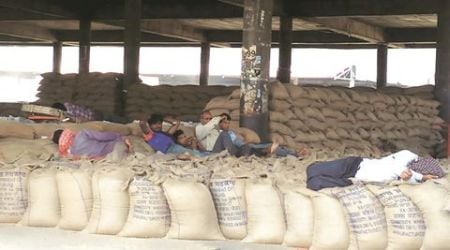 Bihar polls add to Punjab’s grain woes