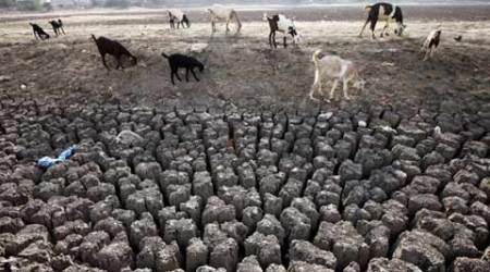 Rajasthan city boils at 51 degrees Celsius, Ahmedabad breaks 100-year-old record