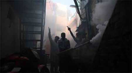To control dengue, India needs to move beyond fumigation: Australian expert