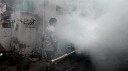 Malaria likely to be notifiable disease, says Joint Director of Health Kanchan Jagtap