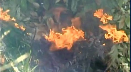 Forest fires wreak havoc in Himachal, CM Virbhadra Singh says ‘nothing new’