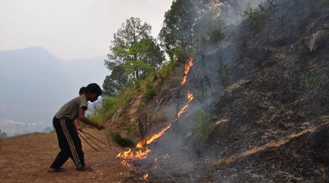 Uttarakhand Fire: Affected Areas Down By Over 70 Per Cent, Says NDRF ...