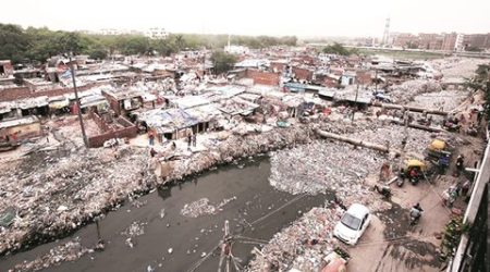 dengue, chikungunya, dengue cases, delhi government, aap, aam aadmi party, aap government, delhi garbage, delhi dengue cases, delhi chikungunya cases, delhi dengue, delhi chikungunya, delhi dengue deaths, delhi chikungunya deaths, aiims, delhi aiims, sanitation, mosquito borne disease, indian express news, india news, delhi news, delhi