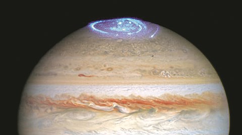 Science in 140 characters: All aboard the microbe train?