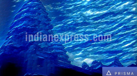 Prisma, Snapseed and VSCO: The top photo-editing apps compared