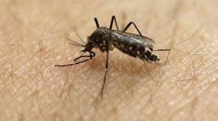 Novel tool to may lead to Zika vaccines