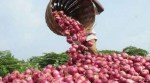 Onion export registers 10-year high in 2016-17