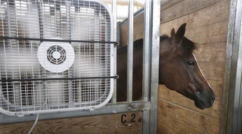 NASA: July 2016 recorded as the hottest month in Earth’s history