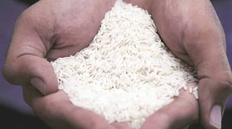 Madhya Pradesh denied GI tag for basmati, will need to find new name for its rice