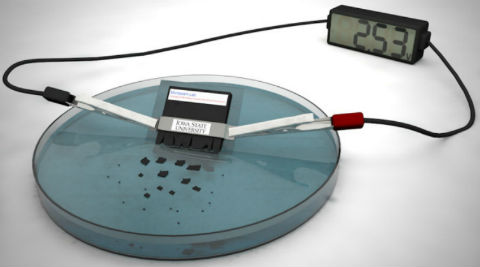 Scientists have developed a self-destructing battery that dissolves in water